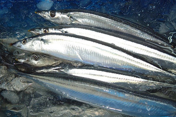 sanma7